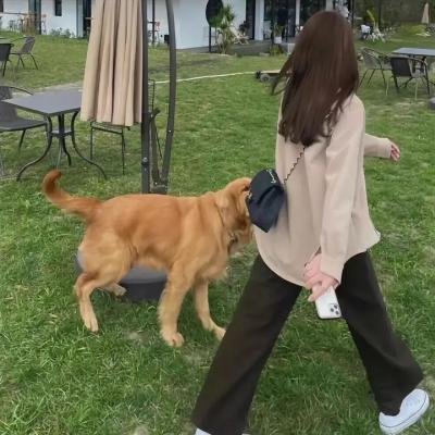 晚间之后狂恋